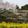 津久井湖記念館