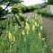 津久井湖記念館