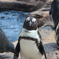 ウインク