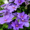 DSCN0053