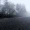 dating in the mist