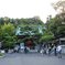 鎌倉長谷寺の紫陽花だより（その１）