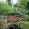 鎌倉長谷寺の紫陽花だより（その９）