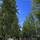nakafuranoIMG_0635