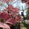 DSC02915