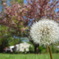 DSC02920
