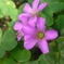 photo_1900280
