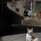 いま、至福の時