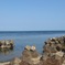 海