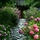 紫陽花咲く参道