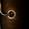 detail 6