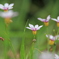 photo_1902570