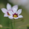 photo_1902572