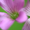 photo_1902579