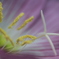 photo_1902584