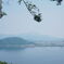 伊吹山