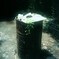 photosynthesis  ~ Life ~