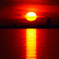 ｓｕｎ’ｓ　ｒｉｎｇｓ