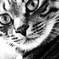 ん、なんだね？
