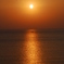夕日