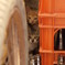 仔猫たち