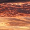 夕焼け