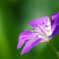 Brightness