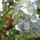 photo_1912584