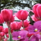 photo_1912751