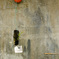_DSC0053a