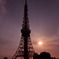 東京タワー2