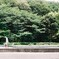 とある公園