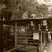 京都　清水寺にて