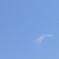 空を鳥が飛んでいます