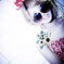 Peeping-13