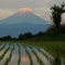 夕焼けに染まる富士山