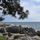 松島