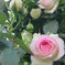 薔薇
