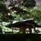 八芳園
