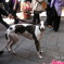 PICT0001