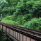 green tunnel