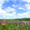 北海道の大自然