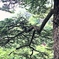 希望求めて