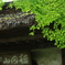 静寂　その１