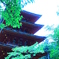 曇り空な長谷寺