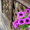 お花。