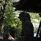 神社の狛犬さん。