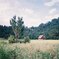 photo_1931853