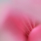  between 