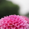花山
